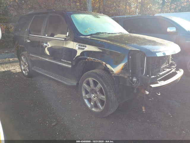 2010 CADILLAC ESCALADE 1GYUKCEF3AR271829 Photo 0