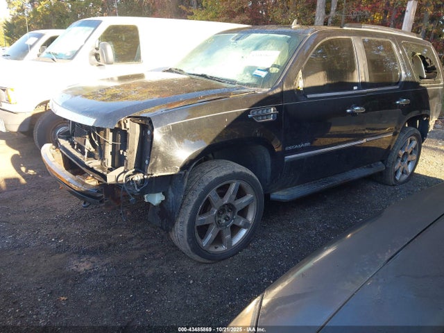 2010 CADILLAC ESCALADE 1GYUKCEF3AR271829 Photo 1