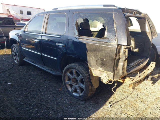 2010 CADILLAC ESCALADE 1GYUKCEF3AR271829 Photo 2