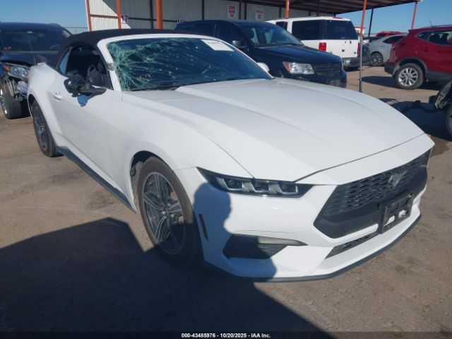 2024 FORD MUSTANG 1FAGP8UH3R5126559