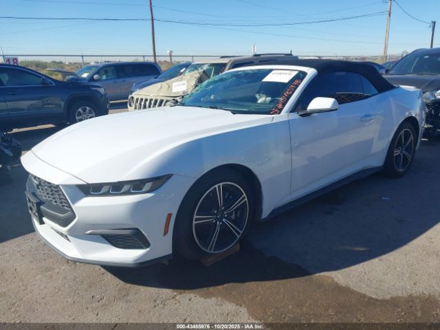 2024 FORD MUSTANG 1FAGP8UH3R5126559 Photo 1