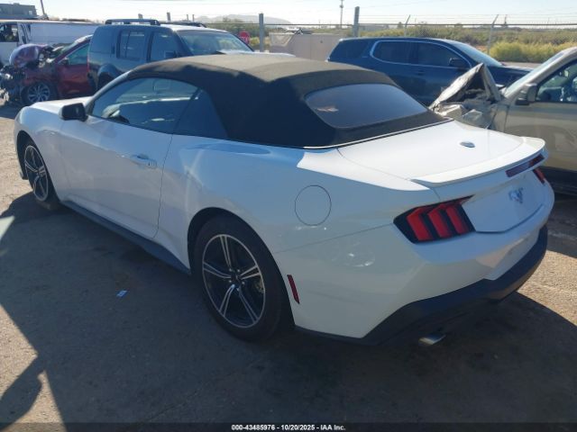 2024 FORD MUSTANG 1FAGP8UH3R5126559 Photo 2