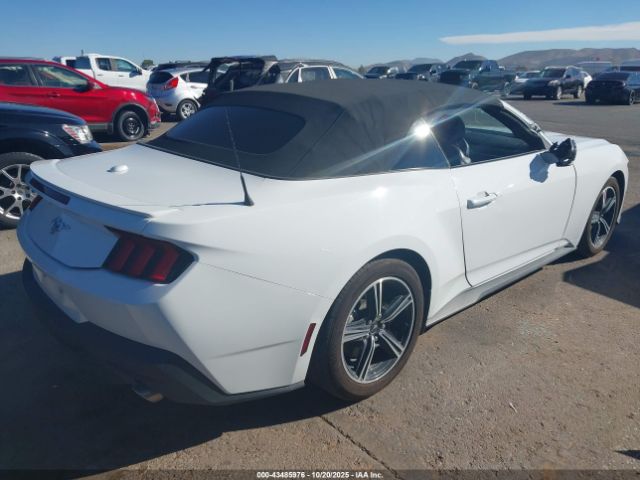 2024 FORD MUSTANG 1FAGP8UH3R5126559 Photo 3