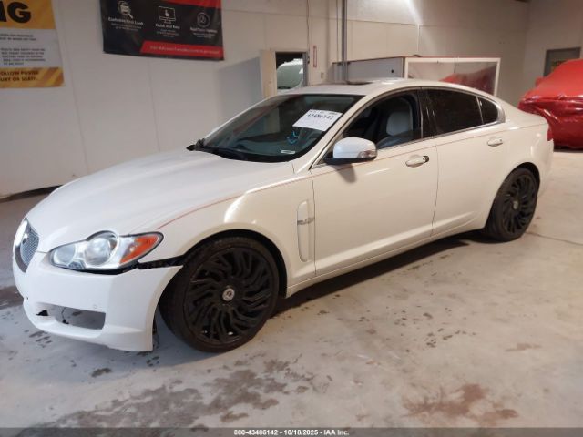 2009 JAGUAR XF SAJWA06B59HR04930 Photo 1