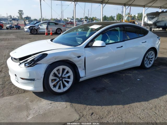 2022 TESLA MODEL 3 5YJ3E1EB9NF183244 Photo 1