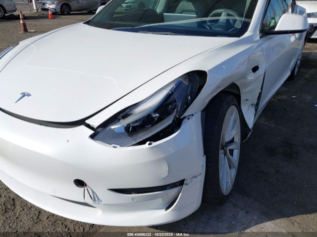 2022 TESLA MODEL 3 5YJ3E1EB9NF183244 Photo 5