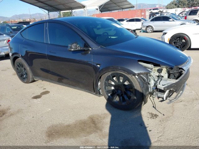 2025 TESLA MODEL Y 7SAYGDED5SF231470 Photo 0