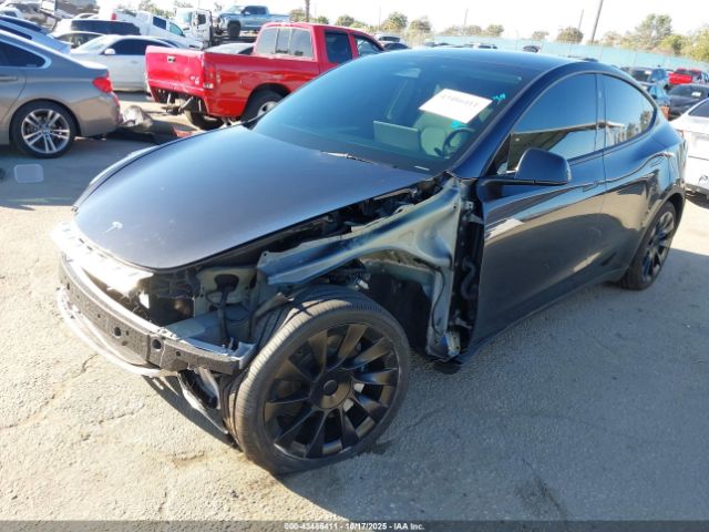 2025 TESLA MODEL Y 7SAYGDED5SF231470 Photo 1