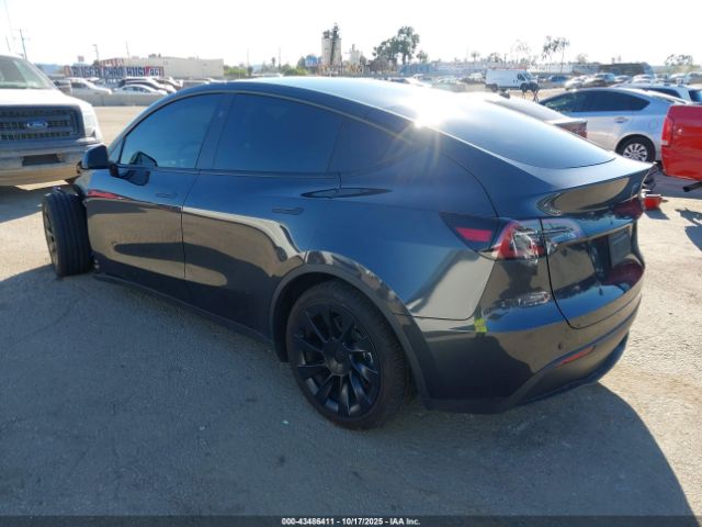 2025 TESLA MODEL Y 7SAYGDED5SF231470 Photo 2