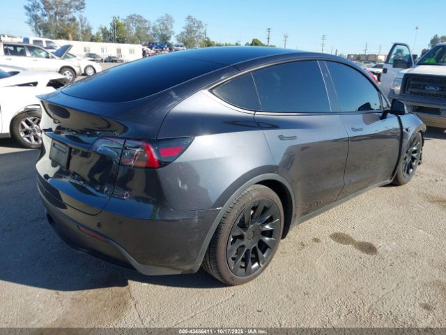 2025 TESLA MODEL Y 7SAYGDED5SF231470 Photo 3