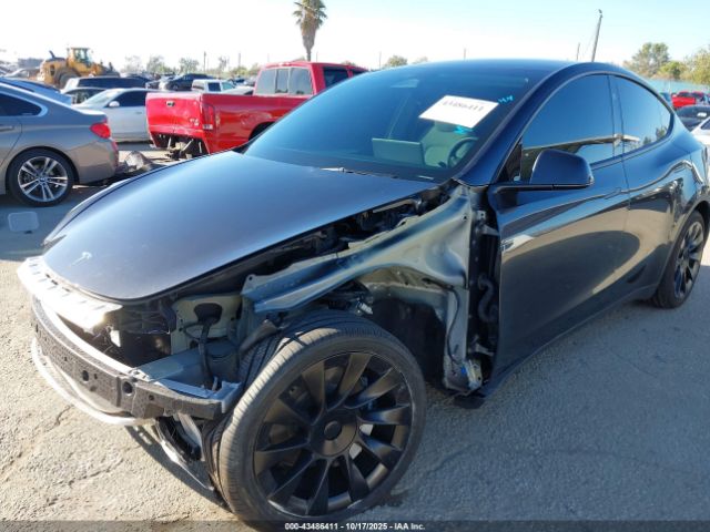 2025 TESLA MODEL Y 7SAYGDED5SF231470 Photo 5