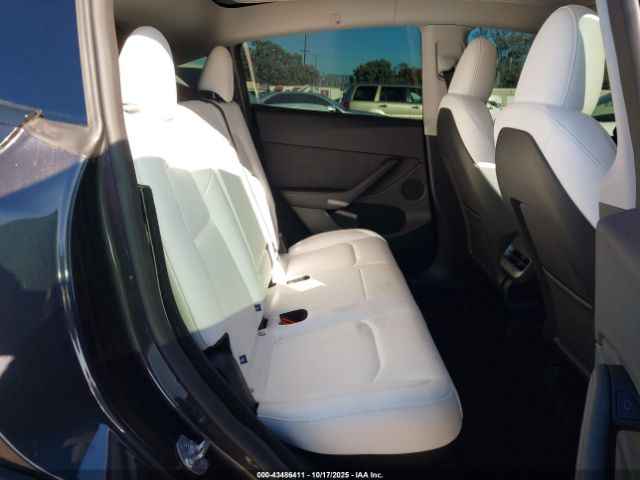 2025 TESLA MODEL Y 7SAYGDED5SF231470 Photo 7