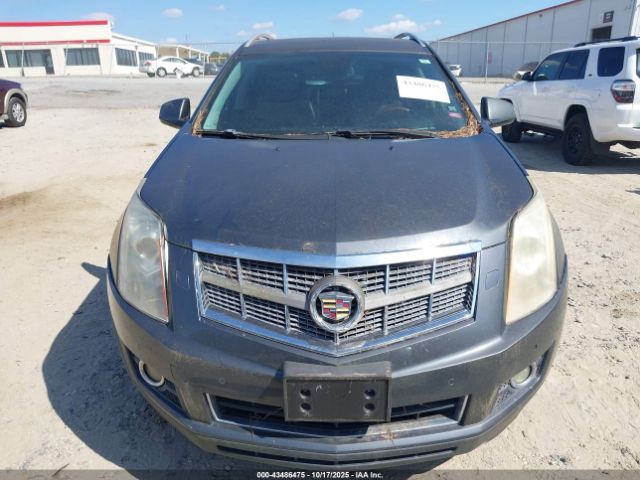 2010 CADILLAC SRX 3GYFNEEY0AS504186 Photo 5