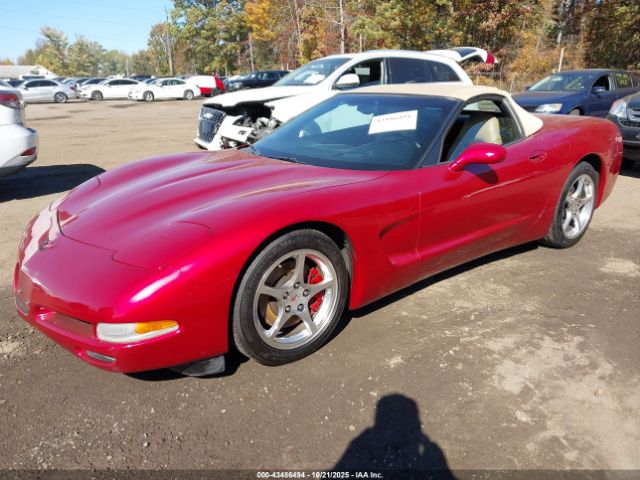2002 CHEVROLET CORVETTE 1G1YY32G125131329 Photo 1