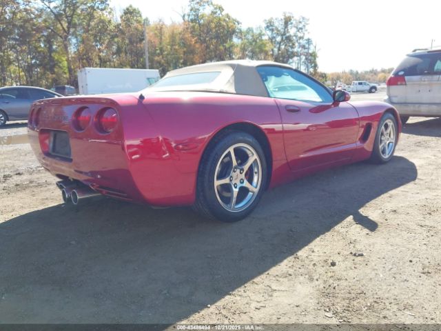 2002 CHEVROLET CORVETTE 1G1YY32G125131329 Photo 3