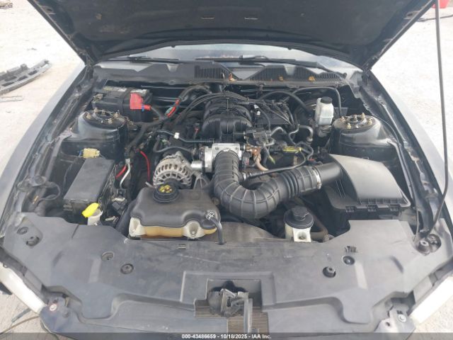 2010 FORD MUSTANG 1ZVBP8AN8A5146791 Photo 9