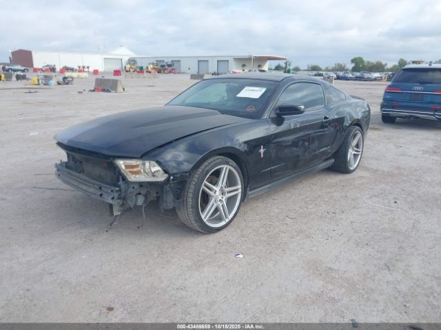 2010 FORD MUSTANG 1ZVBP8AN8A5146791 Photo 1