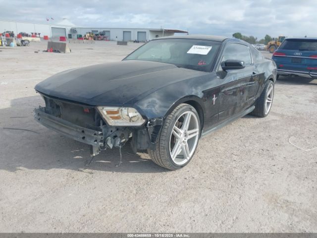 2010 FORD MUSTANG 1ZVBP8AN8A5146791 Photo 5