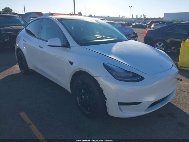 2021 TESLA MODEL Y 5YJYGAEE7MF159534