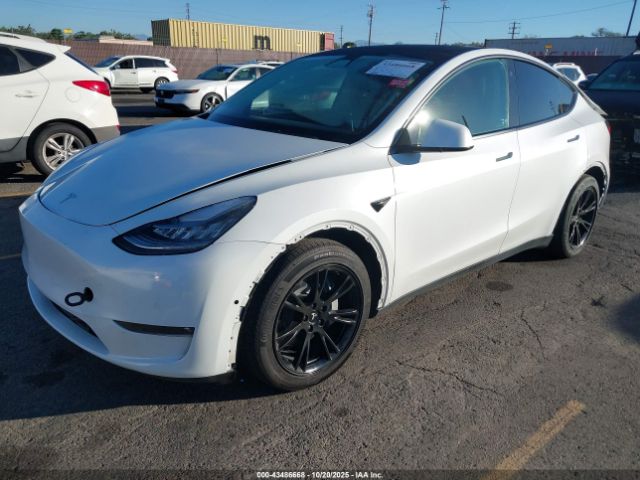 2021 TESLA MODEL Y 5YJYGAEE7MF159534 Photo 1