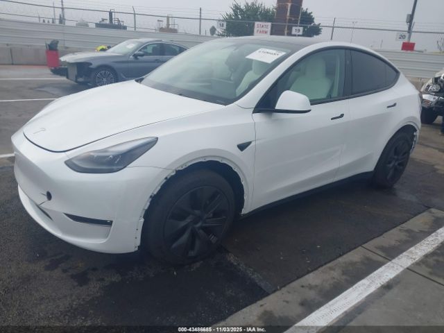 2024 TESLA MODEL Y 7SAYGAEE4RF206674 Photo 1