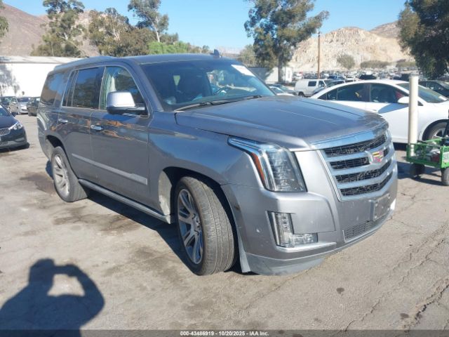 2019 CADILLAC ESCALADE 1GYS4CKJ4KR302758