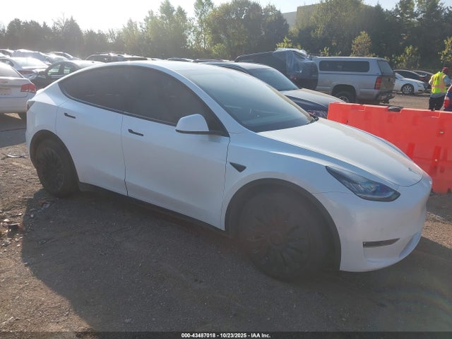 2021 TESLA MODEL Y 5YJYGDEE1MF069488 Photo 0