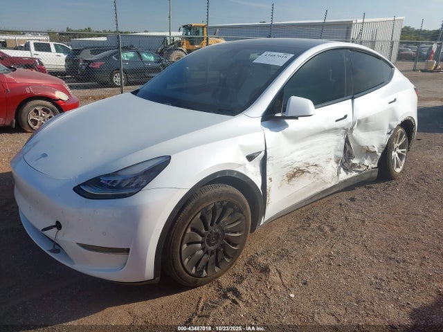 2021 TESLA MODEL Y 5YJYGDEE1MF069488 Photo 1