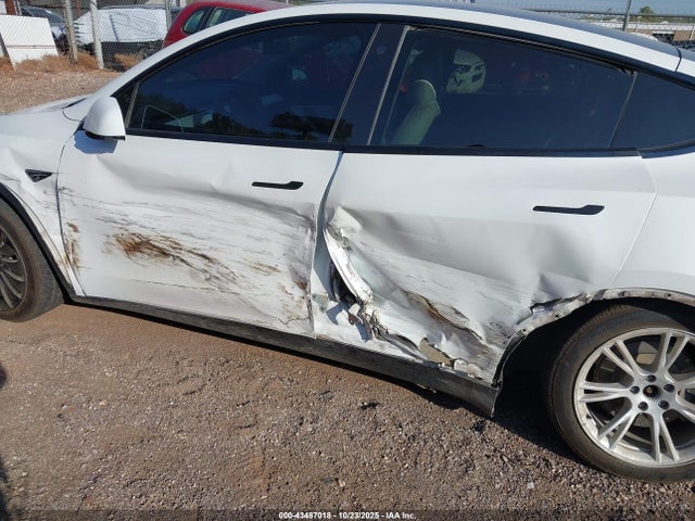2021 TESLA MODEL Y 5YJYGDEE1MF069488 Photo 5