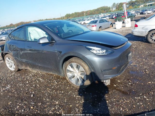 2021 TESLA MODEL Y 5YJYGDEE9MF074793 Photo 0