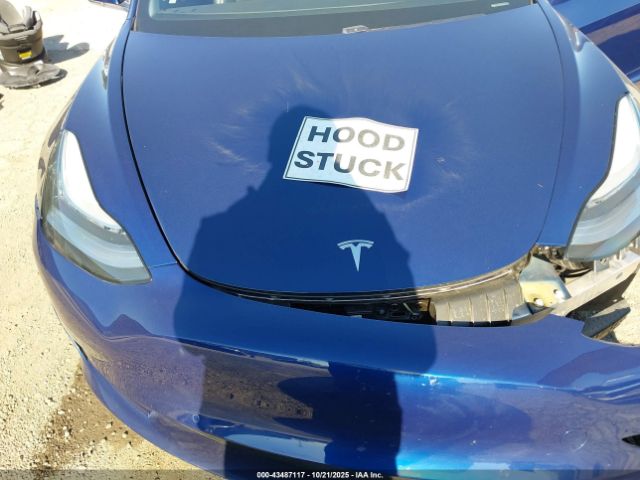 2019 TESLA MODEL 3 5YJ3E1EB4KF387381 Photo 9