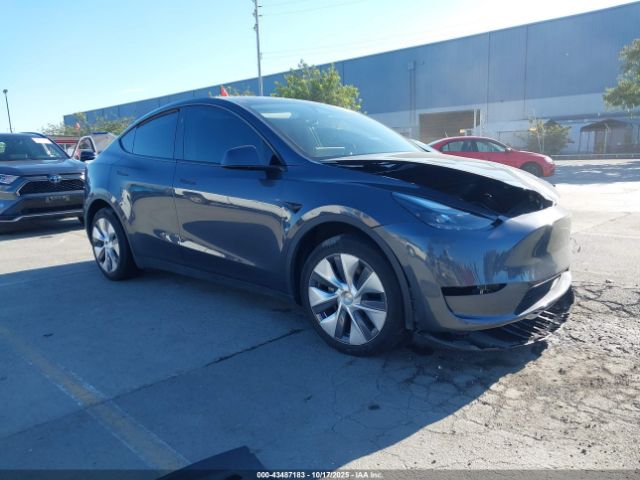2023 TESLA MODEL Y 7SAYGDEE0PF902172 Photo 0