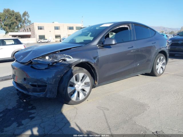 2023 TESLA MODEL Y 7SAYGDEE0PF902172 Photo 1