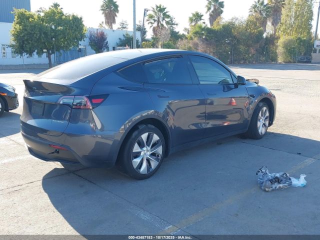 2023 TESLA MODEL Y 7SAYGDEE0PF902172 Photo 3