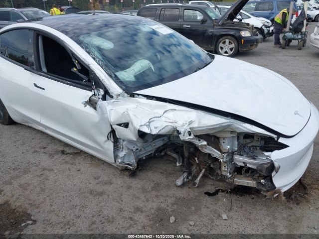 2024 TESLA MODEL 3 5YJ3E1EAXRF831624 Photo 5