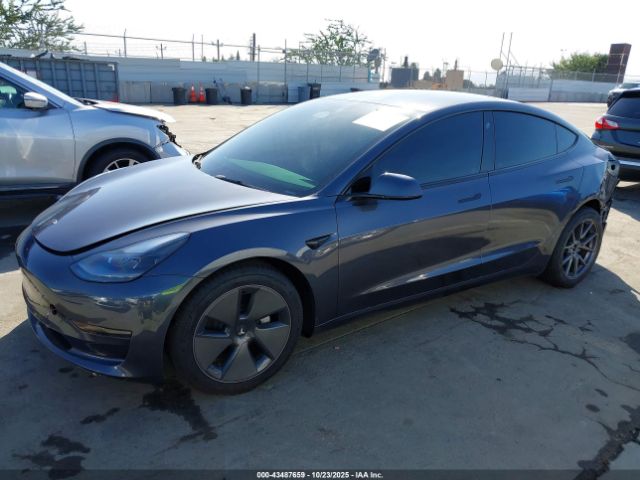 2023 TESLA MODEL 3 5YJ3E1EA9PF707504 Photo 1