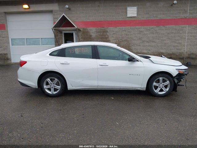 Продажа на аукционе авто 2019 Chevrolet Malibu 1ls, vin: 1G1ZB5ST4KF161286, номер лота: 43487812