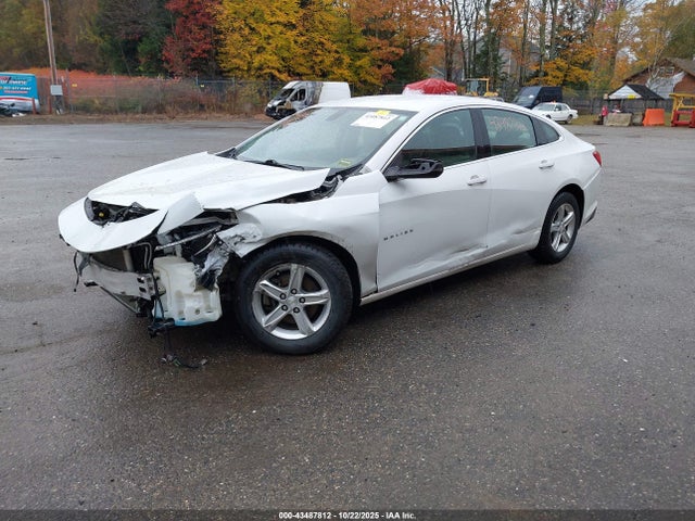 Продажа на аукционе авто 2019 Chevrolet Malibu 1ls, vin: 1G1ZB5ST4KF161286, номер лота: 43487812