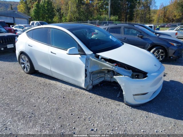 2024 TESLA MODEL Y 7SAYGAEE5RF070037 Photo 0