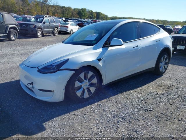 2024 TESLA MODEL Y 7SAYGAEE5RF070037 Photo 1