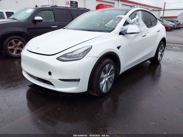 2022 TESLA MODEL Y 7SAYGDEE2NF356097 Photo 1