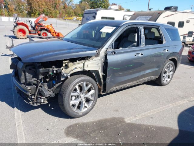 2020 HYUNDAI PALISADE KM8R4DHE5LU146731 Photo 1