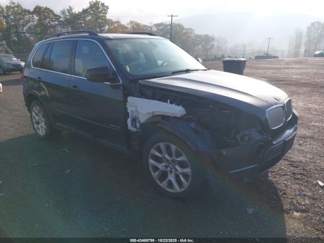 2013 BMW X5 5UXZV4C52D0G53783