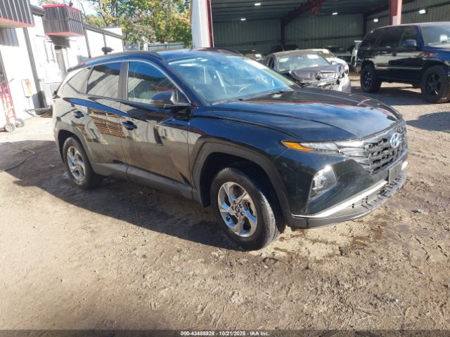 2023 HYUNDAI TUCSON 5NMJBCAE0PH286047
