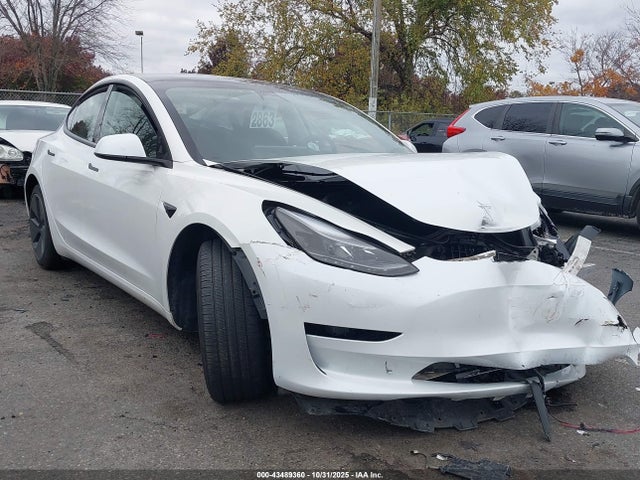 2023 TESLA MODEL 3 5YJ3E1EA9PF562562 Photo 0