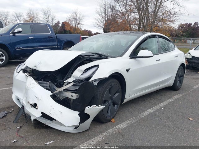 2023 TESLA MODEL 3 5YJ3E1EA9PF562562 Photo 1