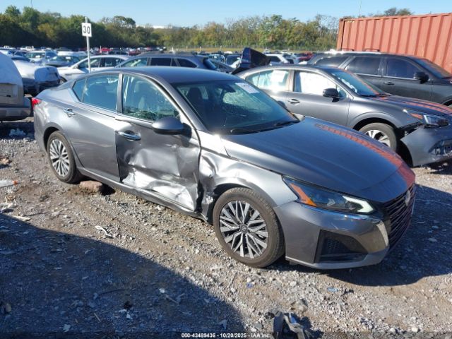2023 NISSAN ALTIMA 1N4BL4DV2PN339245