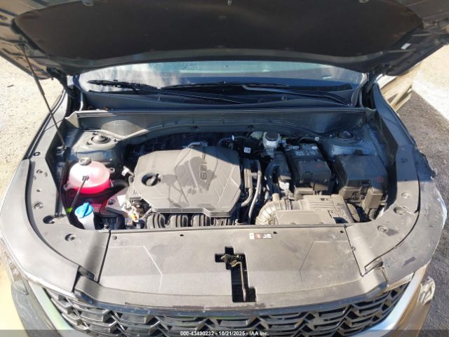 2025 KIA SORENTO 5XYRG4JC0SG399184 Photo 9