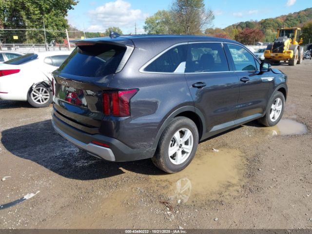 2025 KIA SORENTO 5XYRG4JC0SG399184 Photo 3