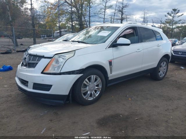 2011 CADILLAC SRX 3GYFNAEYXBS524892 Photo 1